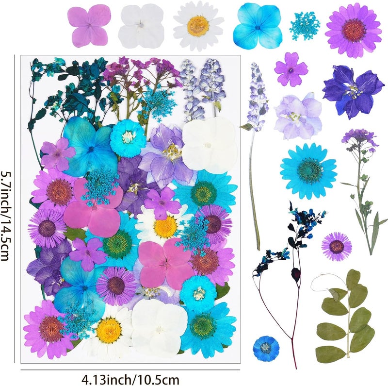 Xinxinran 40Pcs Dried Pressed Flowers for Crafts, Dry Flower Kit for Resin Molds,Epoxy Resin Accessories,Bookmark,Nails, Jewelry Molds,Candle Making Supplies,Soap,Cake(Blue-Purple) - Image 2